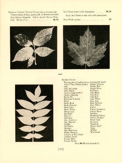 Original image
